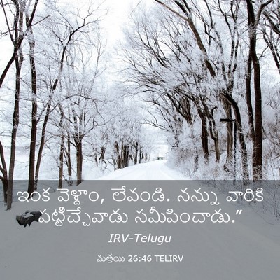 Picture 03 - మత్తయి 26:46 TELIRV - ఇంక వెళ్దాం, - Bible Verse Picture