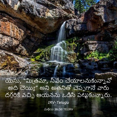 Picture 03 - మత్తయి 26:50 TELIRV - యేసు, “మిత్రమా, - Bible Verse Picture