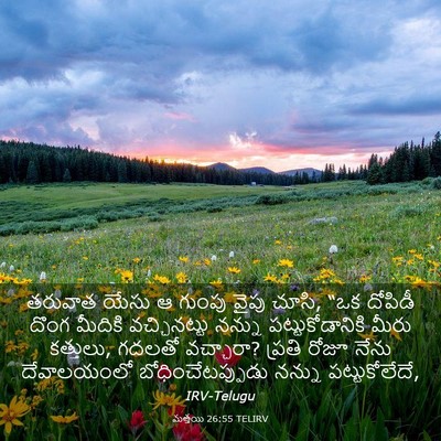 Picture 03 - మత్తయి 26:55 TELIRV - తరువాత యేసు ఆ - Bible Verse Picture