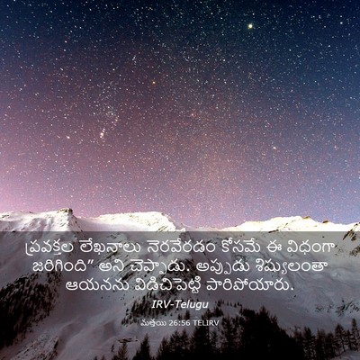 Picture 03 - మత్తయి 26:56 TELIRV - ప్రవక్తల లేఖనాలు - Bible Verse Picture