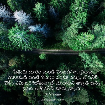 Picture 03 - మత్తయి 26:58 TELIRV - పేతురు దూరం నుండి - Bible Verse Picture