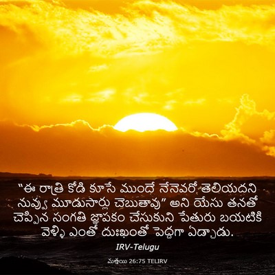 Picture 03 - మత్తయి 26:75 TELIRV - “ఈ రాత్రి కోడి - Bible Verse Picture