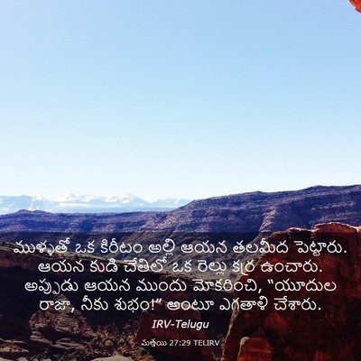 Picture 03 - మత్తయి 27:29 TELIRV - ముళ్ళతో ఒక కిరీటం - Bible Verse Picture