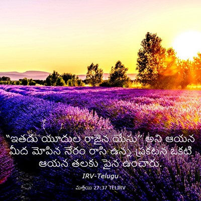Picture 03 - మత్తయి 27:37 TELIRV - “ఇతడు యూదుల రాజైన - Bible Verse Picture