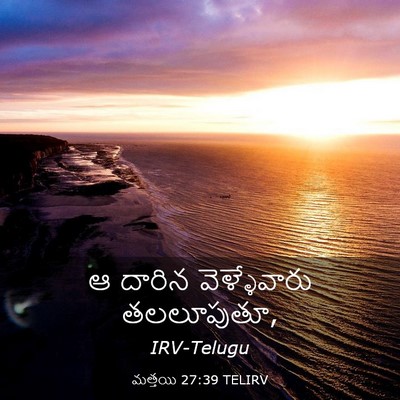 Picture 03 - మత్తయి 27:39 TELIRV - ఆ దారిన - Bible Verse Picture