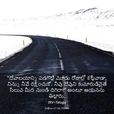 Picture 03 - మత్తయి 27:40 TELIRV - “దేవాలయాన్ని - Bible Verse Picture