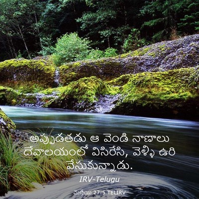 Picture 03 - మత్తయి 27:5 TELIRV - అప్పుడతడు ఆ వెండి - Bible Verse Picture