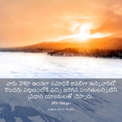 Picture 03 - మత్తయి 28:11 TELIRV - వారు వెళ్తూ ఉండగా - Bible Verse Picture