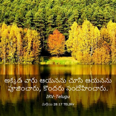 Picture 03 - మత్తయి 28:17 TELIRV - అక్కడ వారు ఆయనను - Bible Verse Picture