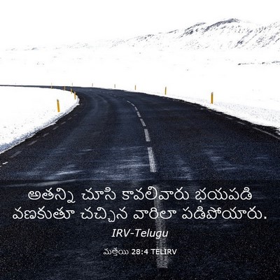 Picture 03 - మత్తయి 28:4 TELIRV - అతన్ని చూసి - Bible Verse Picture