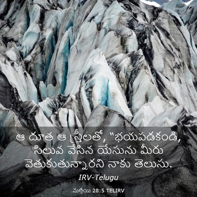 Picture 03 - మత్తయి 28:5 TELIRV - ఆ దూత ఆ స్త్రీలతో, - Bible Verse Picture