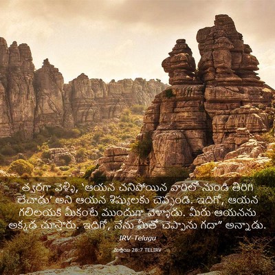Picture 03 - మత్తయి 28:7 TELIRV - త్వరగా వెళ్ళి, - Bible Verse Picture