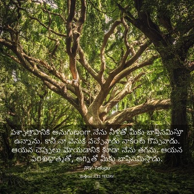 Picture 03 - మత్తయి 3:11 TELIRV - పశ్చాత్తాపానికి - Bible Verse Picture