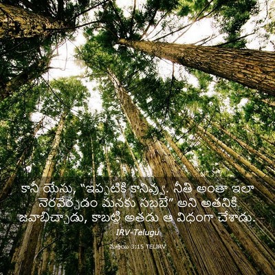 Picture 03 - మత్తయి 3:15 TELIRV - కానీ యేసు, - Bible Verse Picture