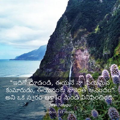 Picture 03 - మత్తయి 3:17 TELIRV - “ఇదిగో చూడండి, - Bible Verse Picture