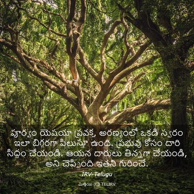 Picture 03 - మత్తయి 3:3 TELIRV - పూర్వం యెషయా - Bible Verse Picture