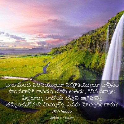 Picture 03 - మత్తయి 3:7 TELIRV - చాలామంది - Bible Verse Picture