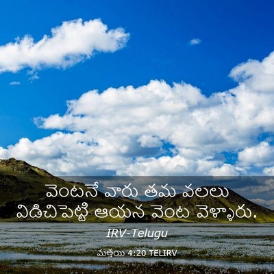 Picture 03 - మత్తయి 4:20 TELIRV - వెంటనే వారు తమ - Bible Verse Picture
