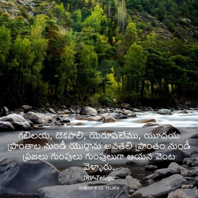 Picture 03 - మత్తయి 4:25 TELIRV - గలిలయ, దెకపొలి, - Bible Verse Picture