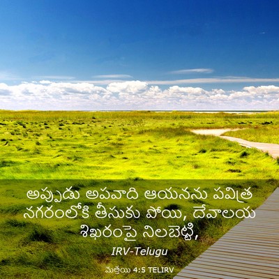 Picture 03 - మత్తయి 4:5 TELIRV - అప్పుడు అపవాది - Bible Verse Picture