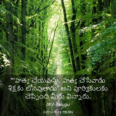 Picture 03 - మత్తయి 5:21 TELIRV - “‘హత్య చేయవద్దు. - Bible Verse Picture