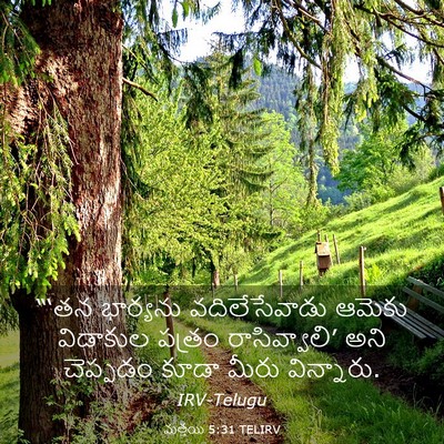 Picture 03 - మత్తయి 5:31 TELIRV - “‘తన భార్యను - Bible Verse Picture