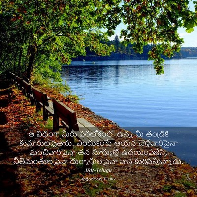 Picture 03 - మత్తయి 5:45 TELIRV - ఆ విధంగా మీరు - Bible Verse Picture
