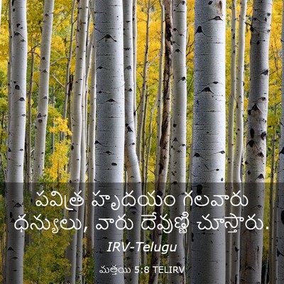 Picture 03 - మత్తయి 5:8 TELIRV - పవిత్ర హృదయం - Bible Verse Picture