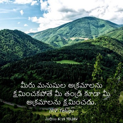 Picture 03 - మత్తయి 6:15 TELIRV - మీరు మనుషుల - Bible Verse Picture