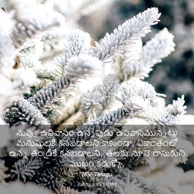 Picture 03 - మత్తయి 6:17 TELIRV - నువ్వు ఉపవాసం - Bible Verse Picture