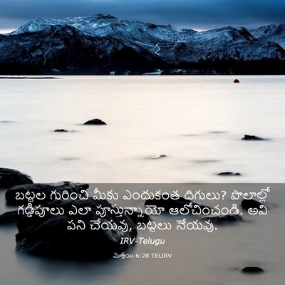 Picture 03 - మత్తయి 6:28 TELIRV - బట్టల గురించి - Bible Verse Picture