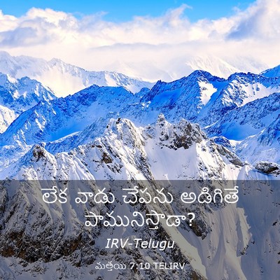 Picture 03 - మత్తయి 7:10 TELIRV - లేక వాడు చేపను - Bible Verse Picture