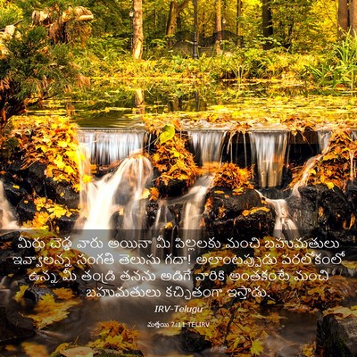 Picture 03 - మత్తయి 7:11 TELIRV - మీరు చెడ్డ వారు - Bible Verse Picture