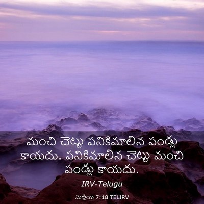 Picture 03 - మత్తయి 7:18 TELIRV - మంచి చెట్టు - Bible Verse Picture