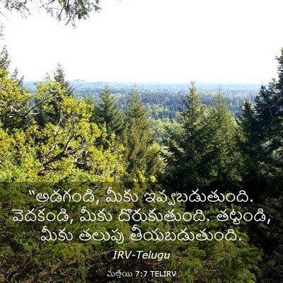Picture 03 - మత్తయి 7:7 TELIRV - “అడగండి, మీకు - Bible Verse Picture