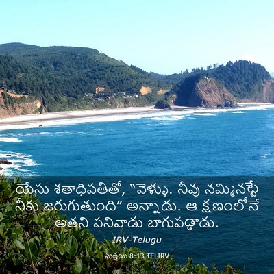 Picture 03 - మత్తయి 8:13 TELIRV - యేసు శతాధిపతితో, - Bible Verse Picture