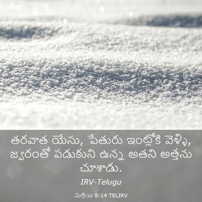 Picture 03 - మత్తయి 8:14 TELIRV - తరవాత యేసు, పేతురు - Bible Verse Picture