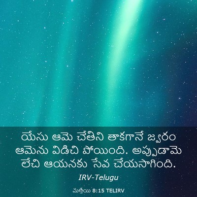 Picture 03 - మత్తయి 8:15 TELIRV - యేసు ఆమె చేతిని - Bible Verse Picture