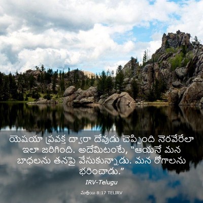 Picture 03 - మత్తయి 8:17 TELIRV - యెషయా ప్రవక్త - Bible Verse Picture