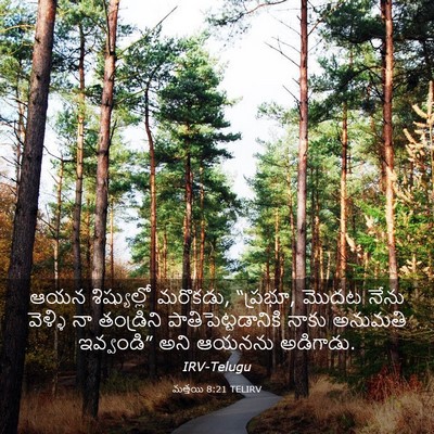 Picture 03 - మత్తయి 8:21 TELIRV - ఆయన శిష్యుల్లో - Bible Verse Picture