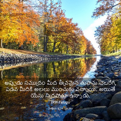 Picture 03 - మత్తయి 8:24 TELIRV - అప్పుడు సముద్రం - Bible Verse Picture