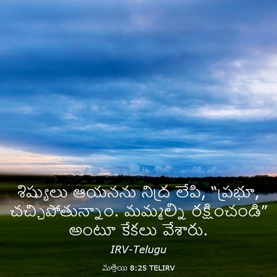 Picture 03 - మత్తయి 8:25 TELIRV - శిష్యులు ఆయనను - Bible Verse Picture