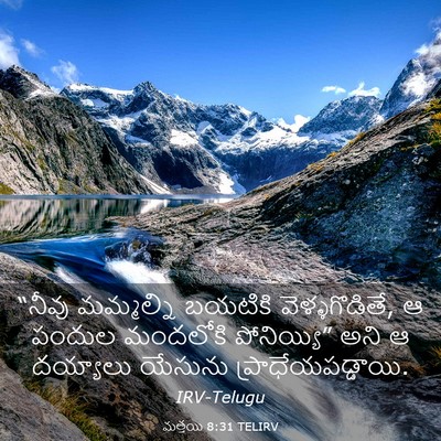 Picture 03 - మత్తయి 8:31 TELIRV - “నీవు మమ్మల్ని - Bible Verse Picture