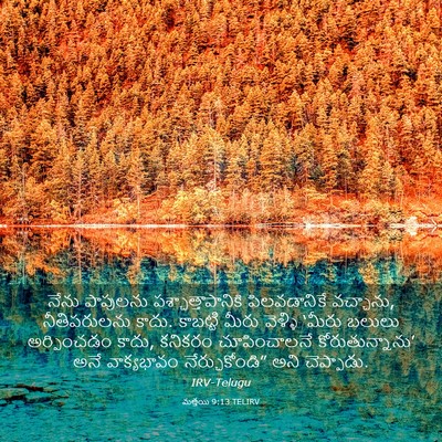 Picture 03 - మత్తయి 9:13 TELIRV - నేను పాపులను - Bible Verse Picture