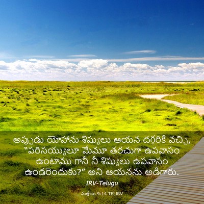 Picture 03 - మత్తయి 9:14 TELIRV - అప్పుడు యోహాను - Bible Verse Picture