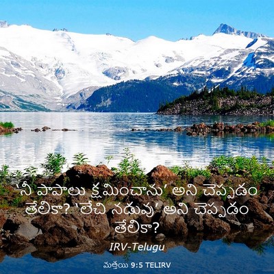 Picture 03 - మత్తయి 9:5 TELIRV - ‘నీ పాపాలు - Bible Verse Picture