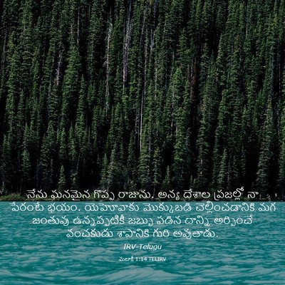 Picture 03 - మలాకీ 1:14 TELIRV - నేను ఘనమైన గొప్ప - Bible Verse Picture
