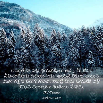Picture 03 - మలాకీ 4:2 TELIRV - అయితే నా పట్ల - Bible Verse Picture
