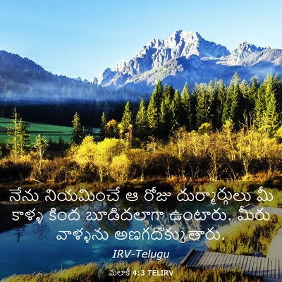 Picture 03 - మలాకీ 4:3 TELIRV - నేను నియమించే ఆ - Bible Verse Picture