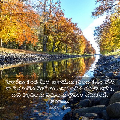 Picture 03 - మలాకీ 4:4 TELIRV - హోరేబు కొండ మీద - Bible Verse Picture
